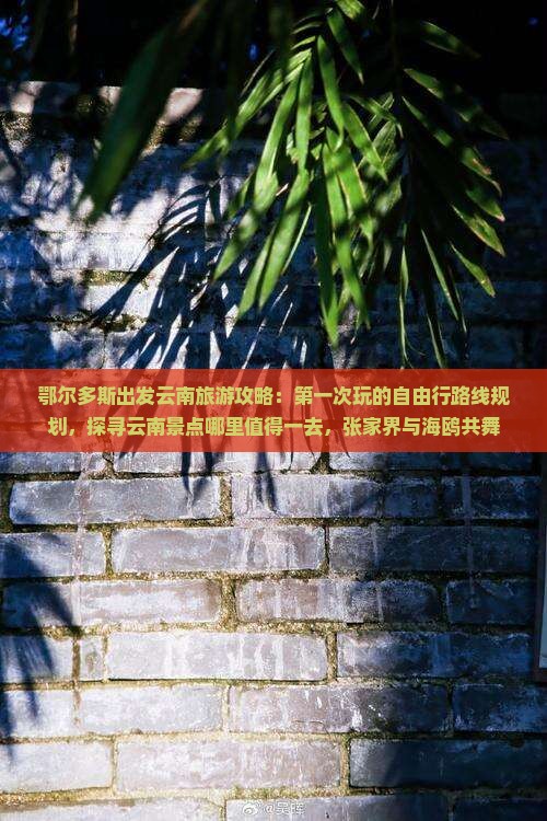 鄂尔多斯出发云南旅游攻略：第一次玩的自由行路线规划，探寻云南景点哪里值得一去，张家界与海鸥共舞