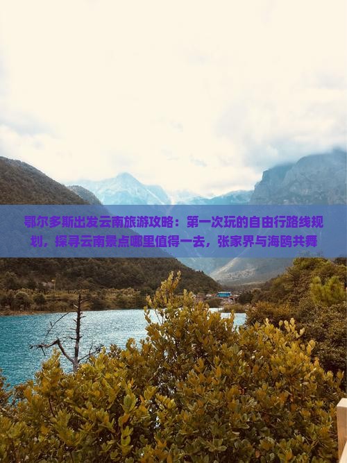 鄂尔多斯出发云南旅游攻略：第一次玩的自由行路线规划，探寻云南景点哪里值得一去，张家界与海鸥共舞