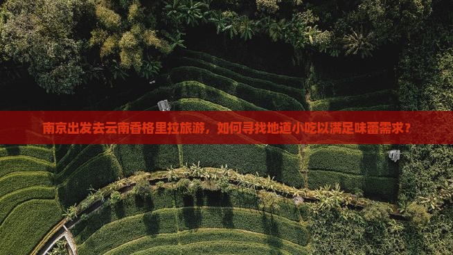 南京出发去云南香格里拉旅游，如何寻找地道小吃以满足味蕾需求？
