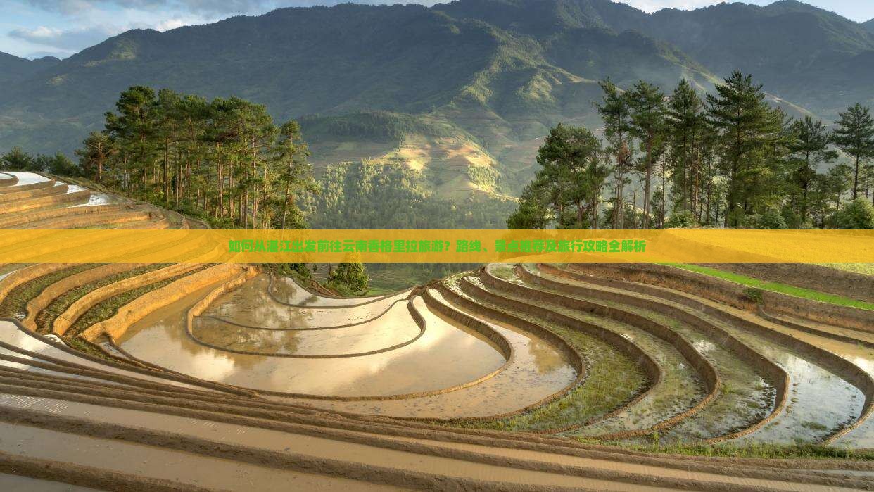 如何从湛江出发前往云南香格里拉旅游？路线、景点推荐及旅行攻略全解析