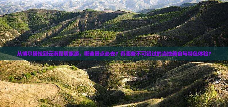 从博尔塔拉到云南昆明旅游，哪些景点必去？有哪些不可错过的当地美食与特色体验？