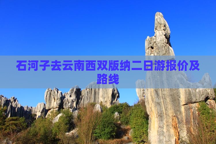 石河子去云南西双版纳二日游报价及路线