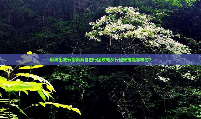廊坊出发云南洱海自由行团攻略及行程安排是怎样的？