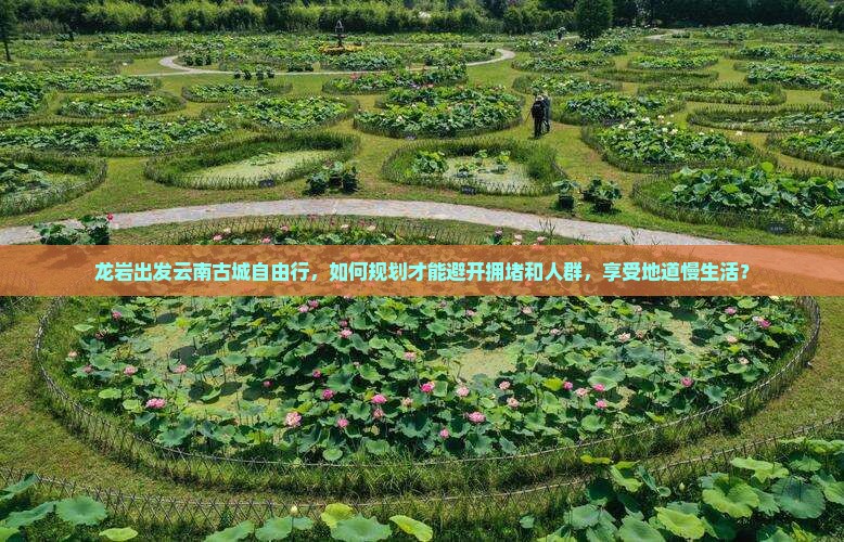 龙岩出发云南古城自由行，如何规划才能避开拥堵和人群，享受地道慢生活？