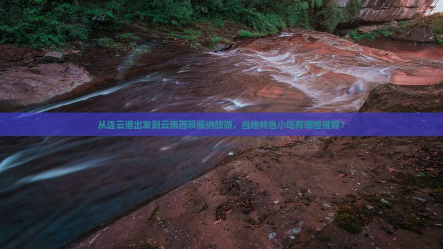 从连云港出发到云南西双版纳旅游，当地特色小吃有哪些推荐？