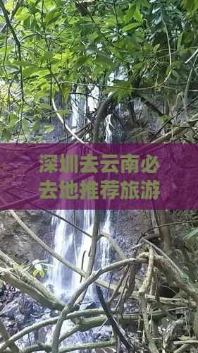 深圳去云南必去地推荐旅游攻略及路线