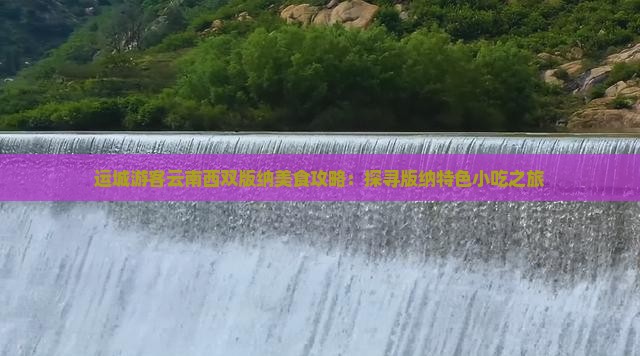 运城游客云南西双版纳美食攻略：探寻版纳特色小吃之旅