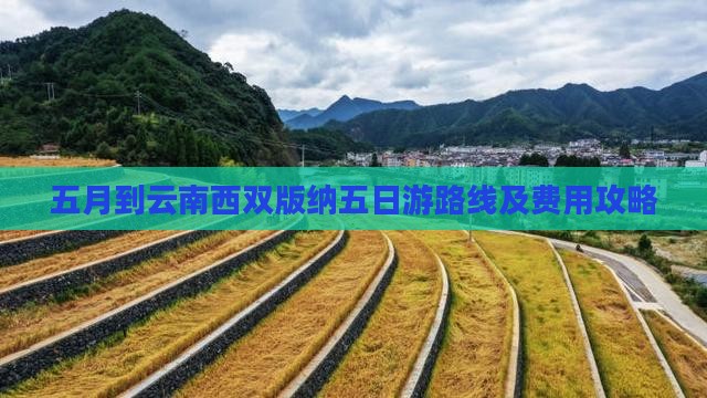 五月到云南西双版纳五日游路线及费用攻略