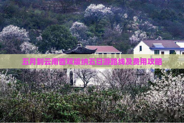 五月到云南西双版纳五日游路线及费用攻略