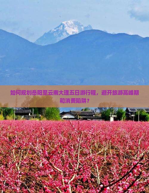 如何规划岳阳至云南大理五日游行程，避开旅游高峰期和消费陷阱？