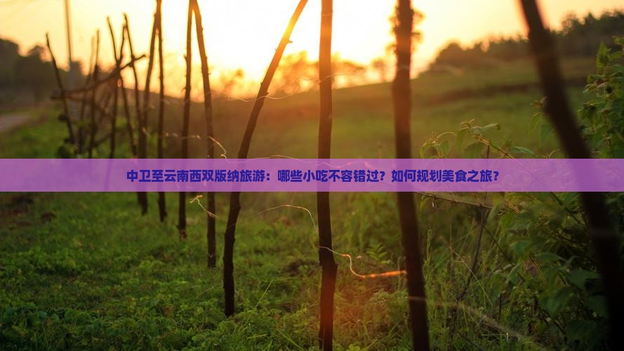 中卫至云南西双版纳旅游：哪些小吃不容错过？如何规划美食之旅？