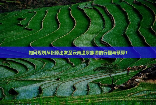 如何规划从松原出发至云南温泉旅游的行程与预算？