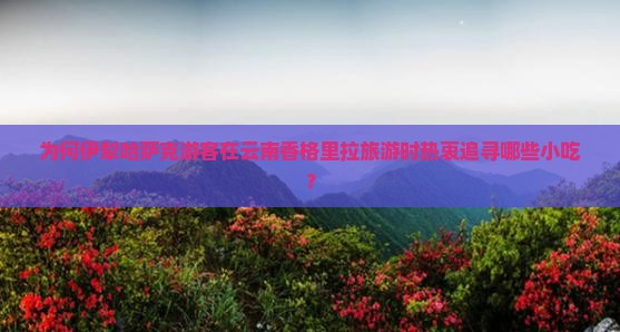 为何伊犁哈萨克游客在云南香格里拉旅游时热衷追寻哪些小吃？