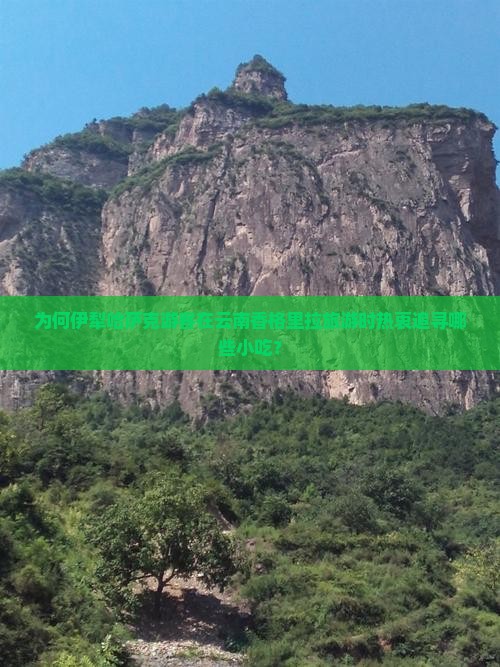 为何伊犁哈萨克游客在云南香格里拉旅游时热衷追寻哪些小吃？