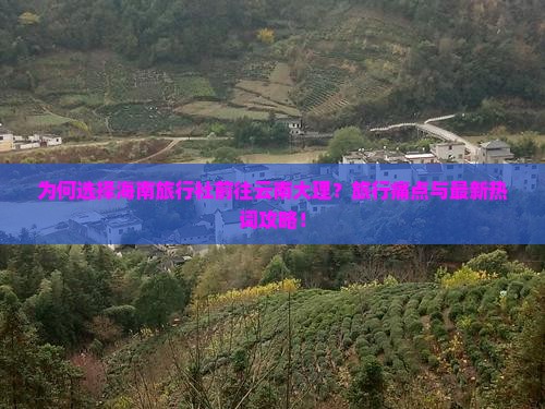 为何选择海南旅行社前往云南大理？旅行痛点与最新热词攻略！