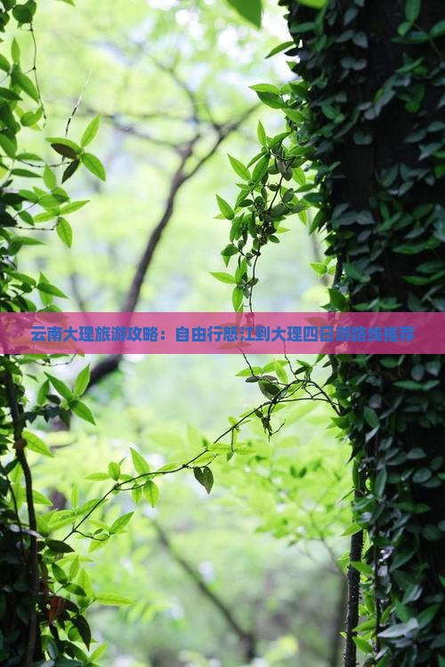 云南大理旅游攻略：自由行怒江到大理四日游路线推荐
