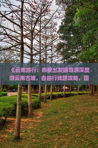 《云南旅行：泰安出发跟导游深度游云南古城，自由行线路攻略，国际旅行社打造十大景点路线规划》
