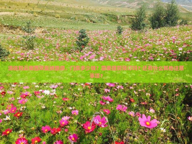 清徐到云南西双版纳旅游，门票多少钱？需要提前预订吗？还有什么其他注意事项？