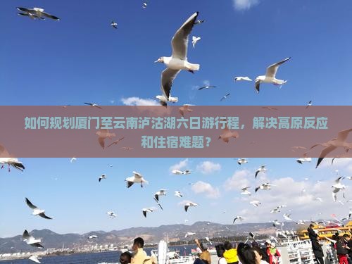 如何规划厦门至云南泸沽湖六日游行程，解决高原反应和住宿难题？