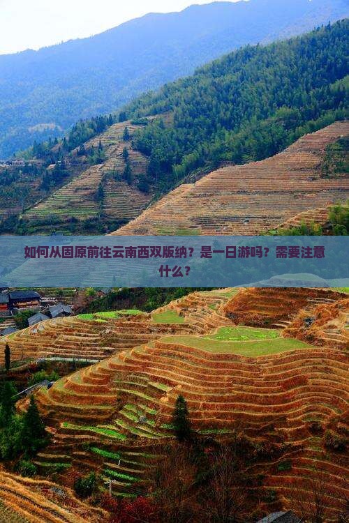 如何从固原前往云南西双版纳？是一日游吗？需要注意什么？