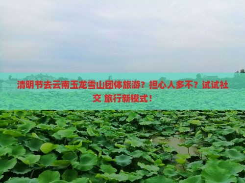 清明节去云南玉龙雪山团体旅游？担心人多不？试试社交+旅行新模式！