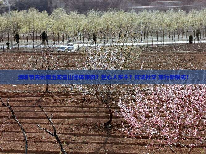 清明节去云南玉龙雪山团体旅游？担心人多不？试试社交+旅行新模式！