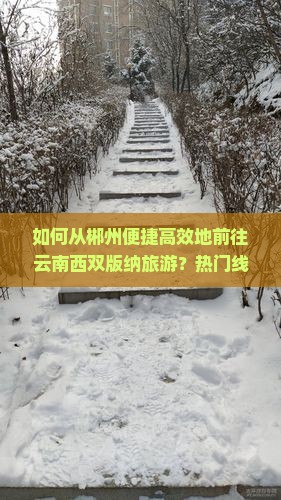 如何从郴州便捷高效地前往云南西双版纳旅游？热门线路与痛点攻略！