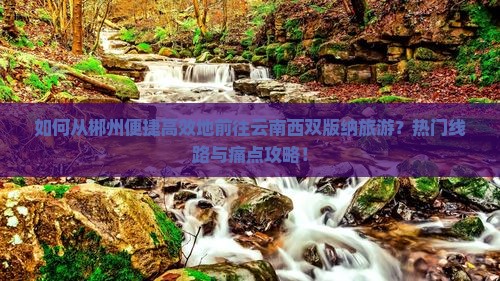 如何从郴州便捷高效地前往云南西双版纳旅游？热门线路与痛点攻略！