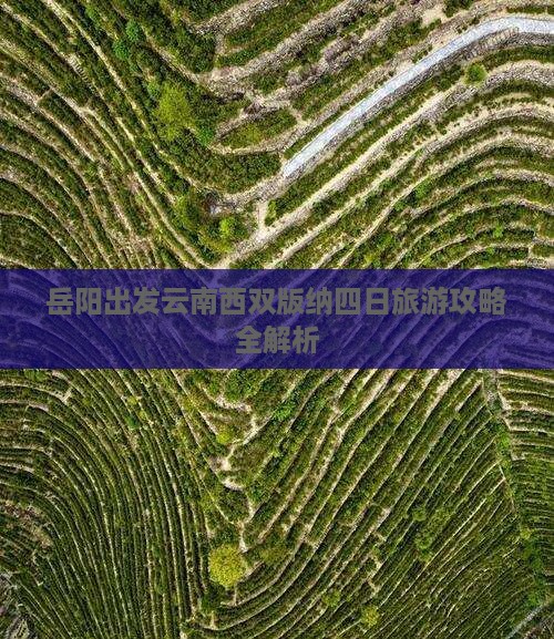 岳阳出发云南西双版纳四日旅游攻略全解析