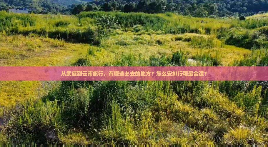 从武威到云南旅行，有哪些必去的地方？怎么安排行程最合适？