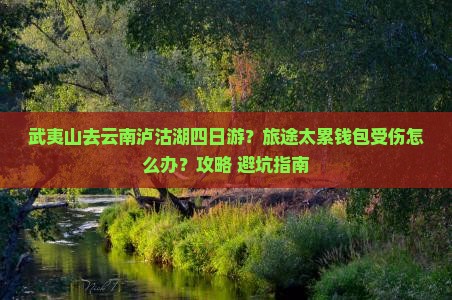武夷山去云南泸沽湖四日游？旅途太累钱包受伤怎么办？攻略+避坑指南