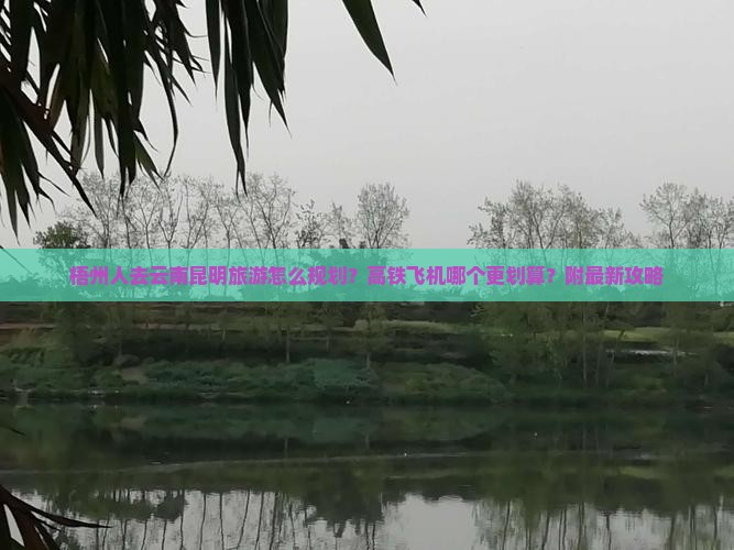 梧州人去云南昆明旅游怎么规划？高铁飞机哪个更划算？附最新攻略