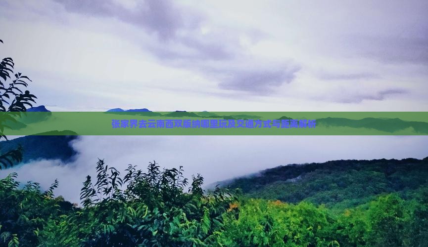张家界去云南西双版纳哪里玩及交通方式与距离解析