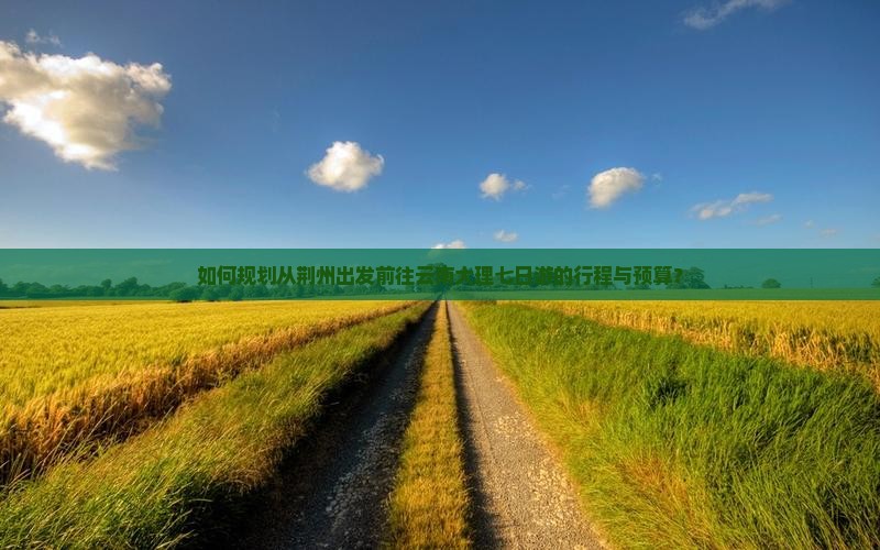 如何规划从荆州出发前往云南大理七日游的行程与预算？