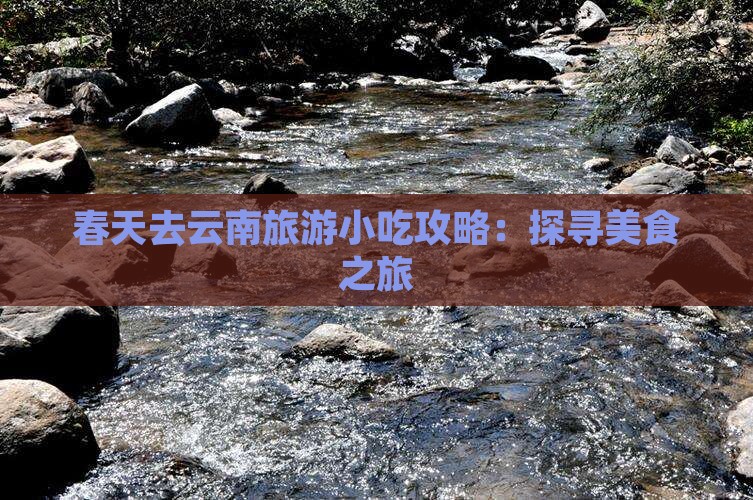 春天去云南旅游小吃攻略：探寻美食之旅