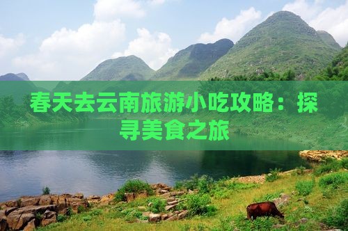 春天去云南旅游小吃攻略：探寻美食之旅