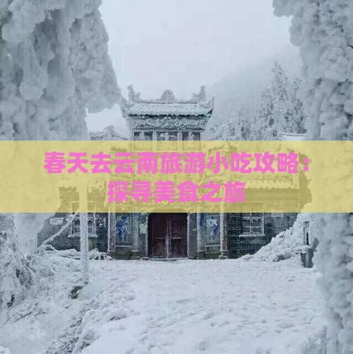 春天去云南旅游小吃攻略：探寻美食之旅