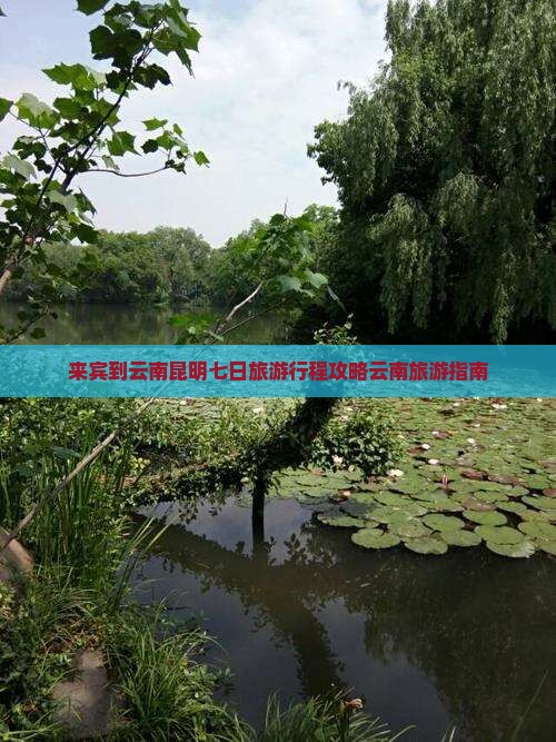 来宾到云南昆明七日旅游行程攻略云南旅游指南