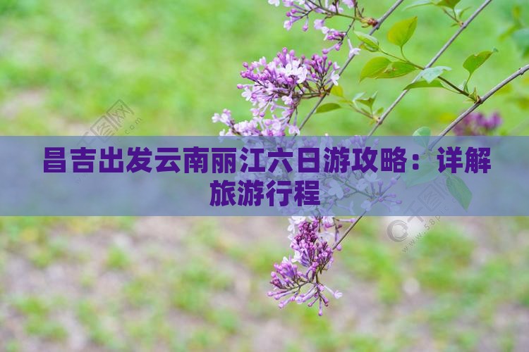 昌吉出发云南丽江六日游攻略：详解旅游行程