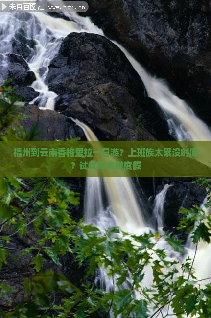 福州到云南香格里拉一日游？上班族太累没时间？试试周末微度假