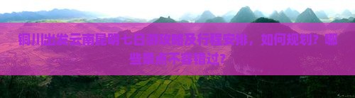 铜川出发云南昆明七日游攻略及行程安排，如何规划？哪些景点不容错过？