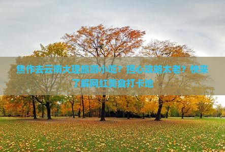 焦作去云南大理旅游小吃？担心攻略太老？快来了解网红美食打卡地