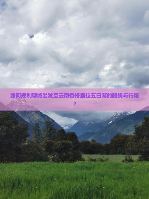 如何规划聊城出发至云南香格里拉五日游的路线与行程？