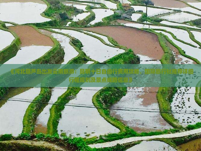 《河北葫芦岛出发云南旅游：昆明十日自由行费用攻略，国际旅行社推荐详细行程规划及景点线路信息》
