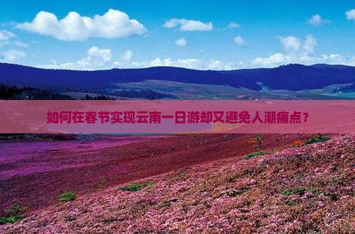 如何在春节实现云南一日游却又避免人潮痛点？