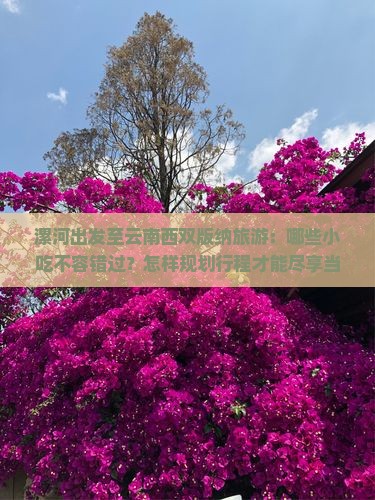 漯河出发至云南西双版纳旅游：哪些小吃不容错过？怎样规划行程才能尽享当地美食？