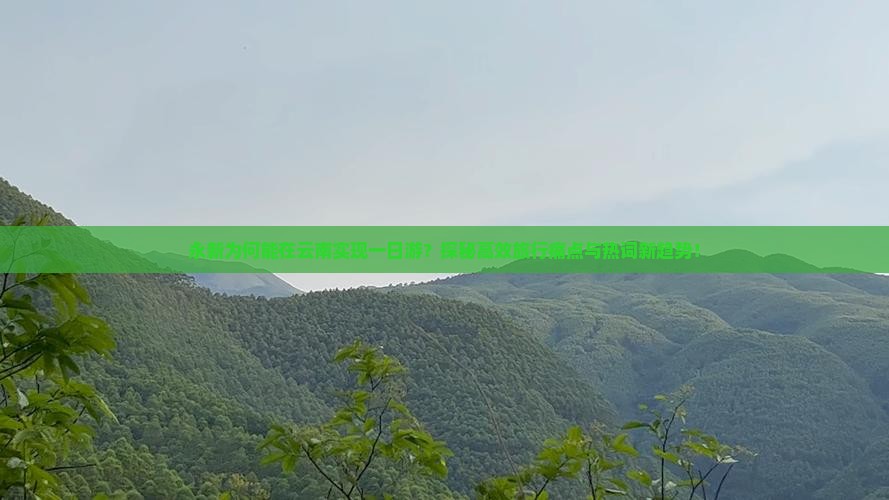 永新为何能在云南实现一日游？探秘高效旅行痛点与热词新趋势！