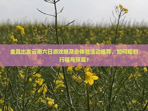 金昌出发云南六日游攻略及必体验活动推荐，如何规划行程与预算？