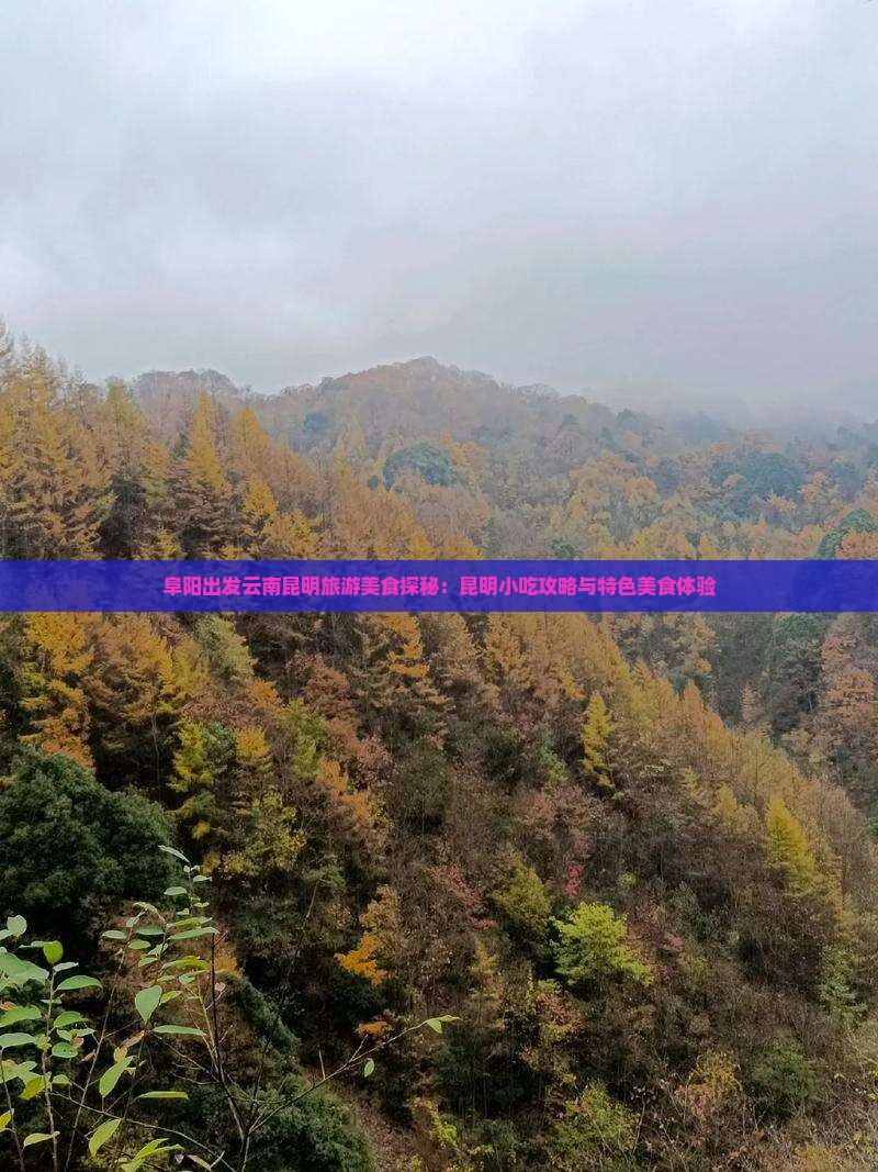 阜阳出发云南昆明旅游美食探秘：昆明小吃攻略与特色美食体验