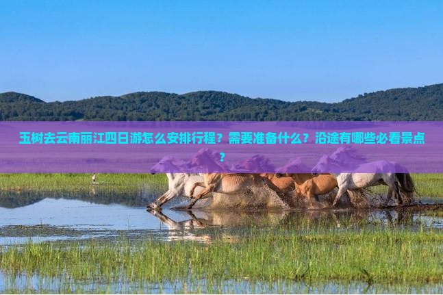 玉树去云南丽江四日游怎么安排行程？需要准备什么？沿途有哪些必看景点？